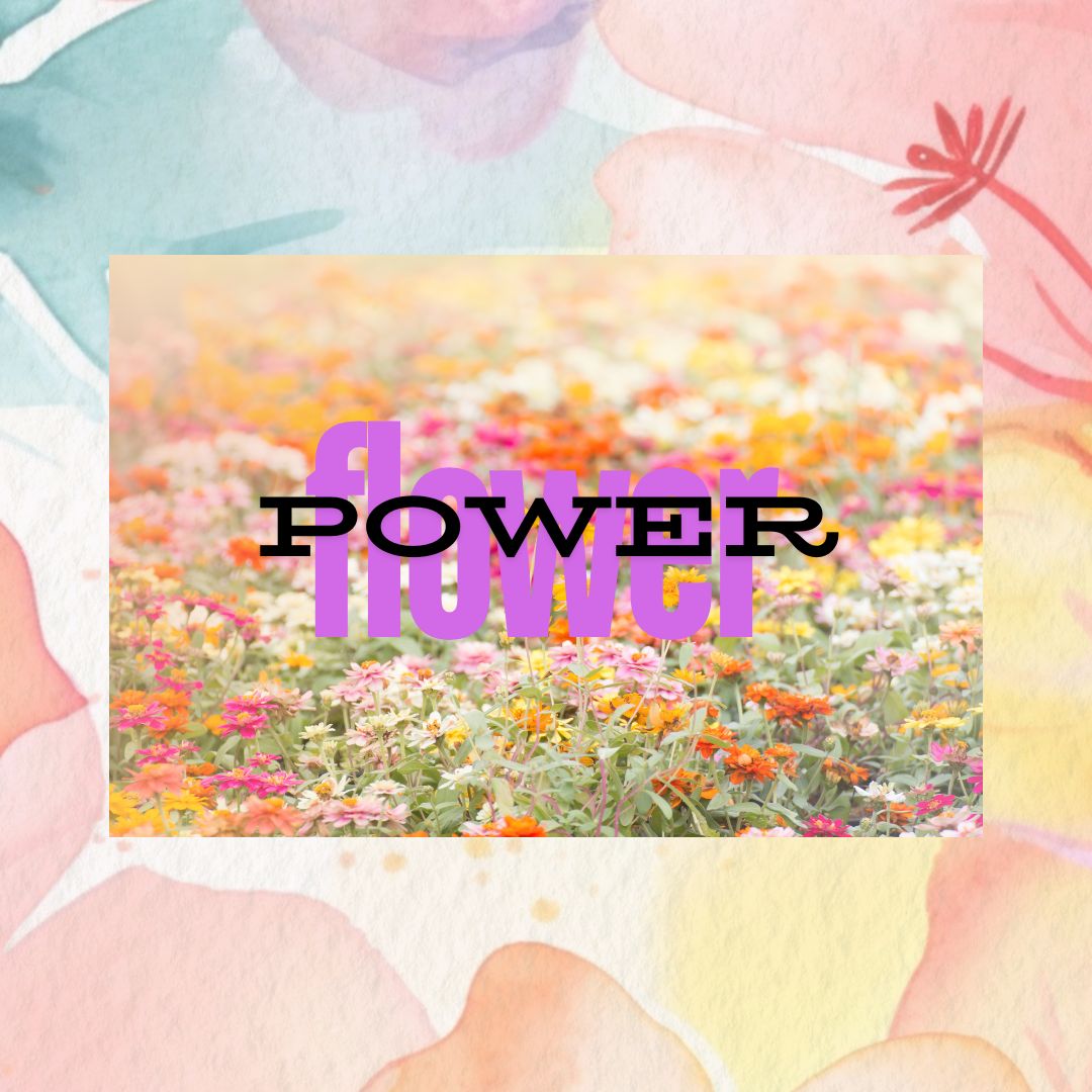 Protected: Flower Power Certification Course