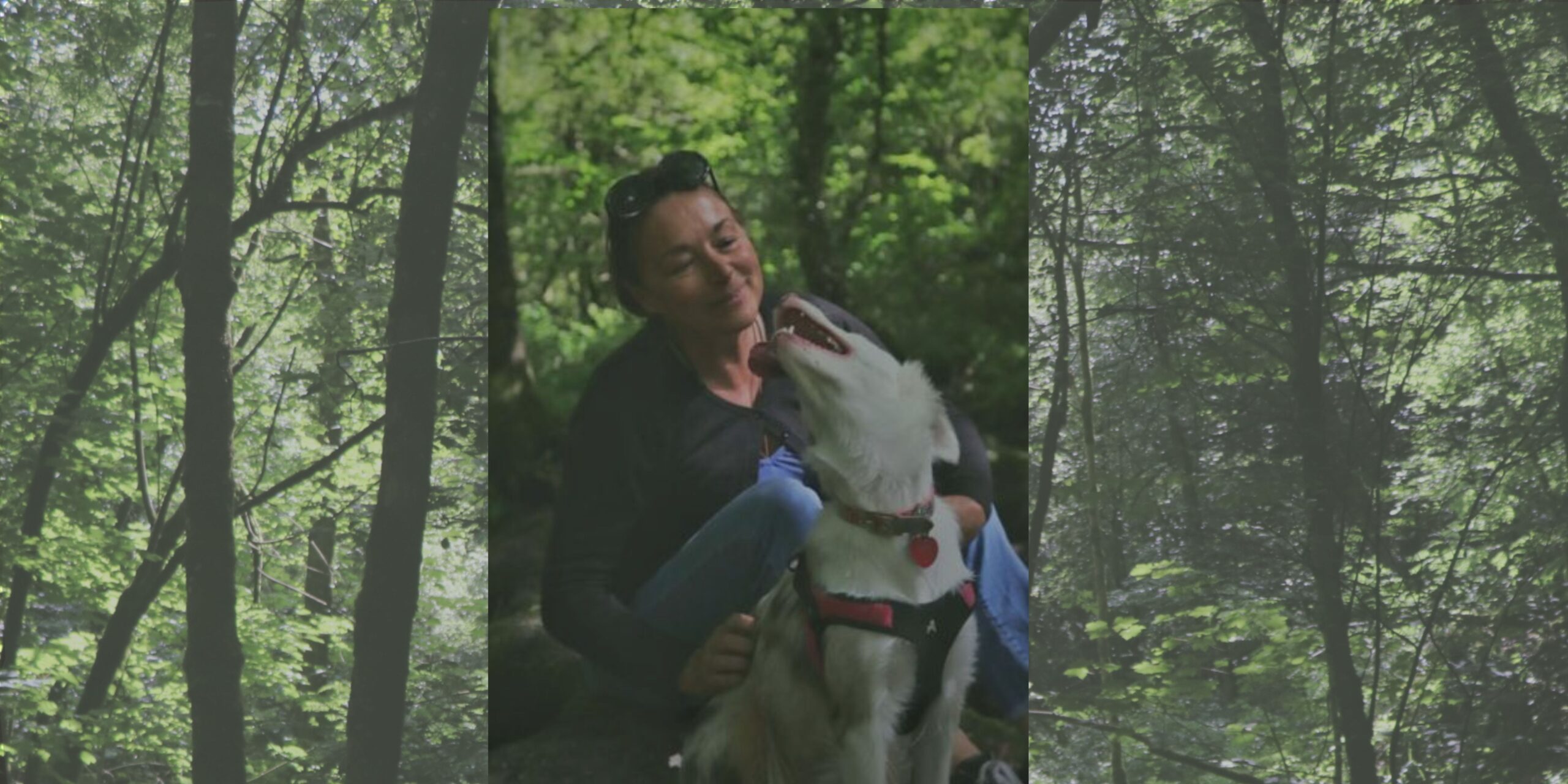 Shaw Human Animal Healing