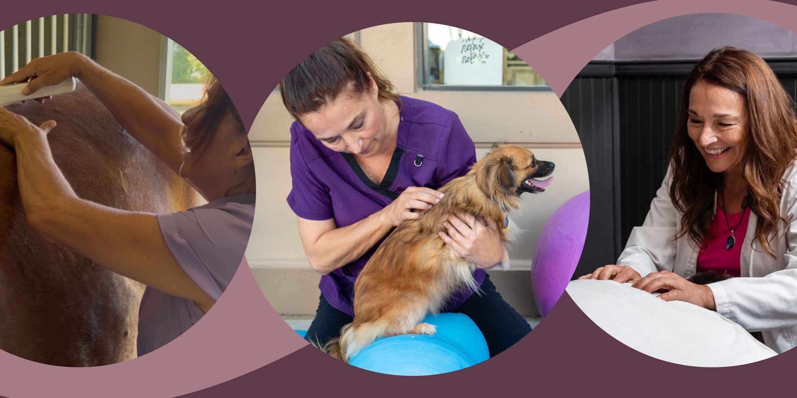 Integrative wellness for horses, people and animals in Baldwin County, Alabama